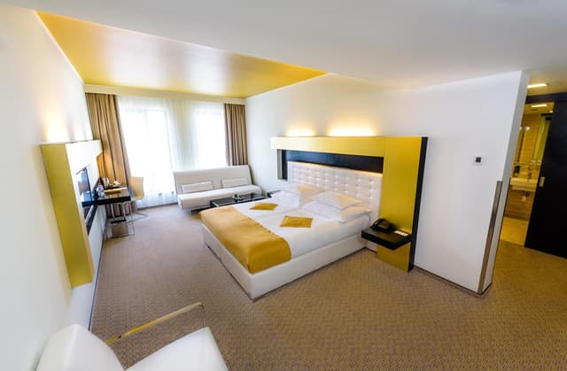 Deluxe Double Room · photo 7