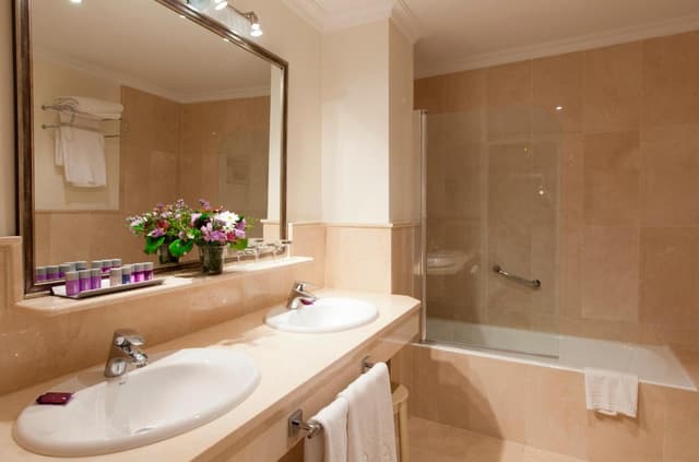 Superior Double/Twin Room · photo 5