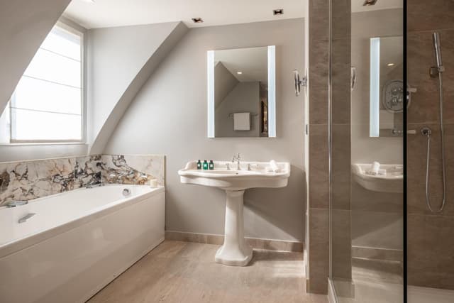 Deluxe Suite · photo 4