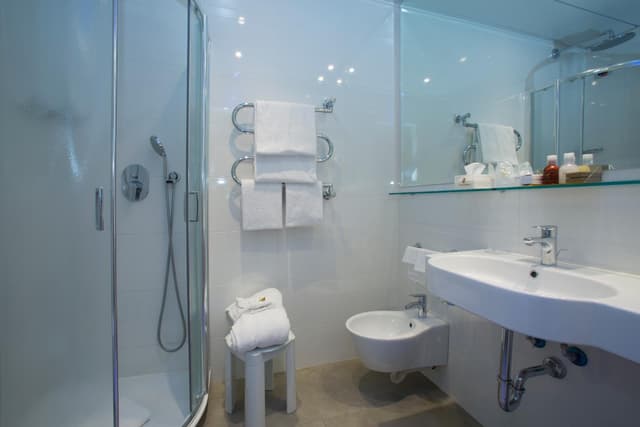Superior Double or Twin Room · photo 3