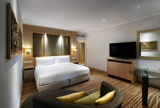 Deluxe King Room · photo 8