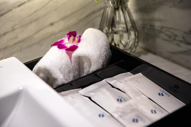 Deluxe Double or Twin Room with View · photo 6