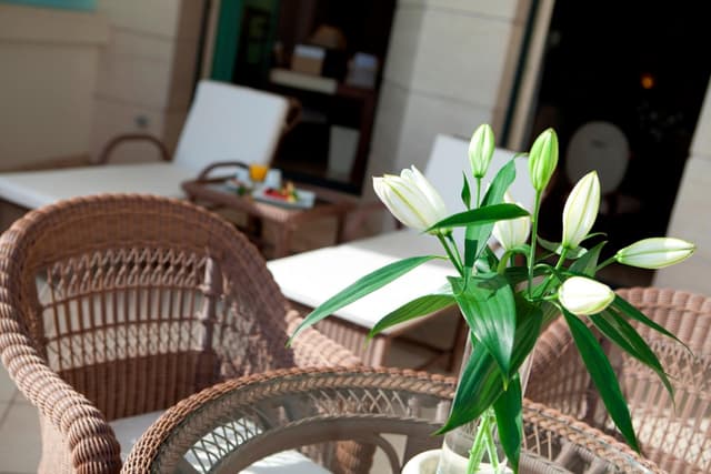 Junior Suite with Sea View · photo 8