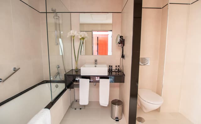 Double or Twin Room · photo 3