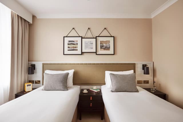Classic Twin Room · photo 3