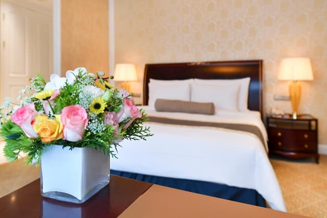 Deluxe Business Double Room · photo 4