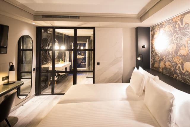 Standard Double or Twin Room · photo 4