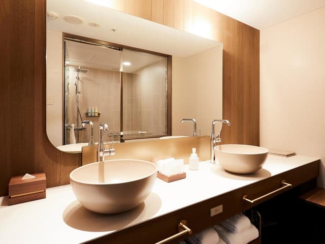Deluxe Twin Room · photo 8