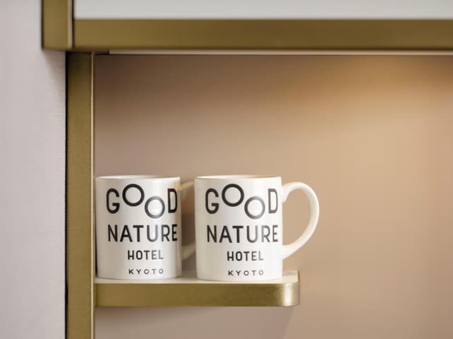 Superior Twin Room · photo 6