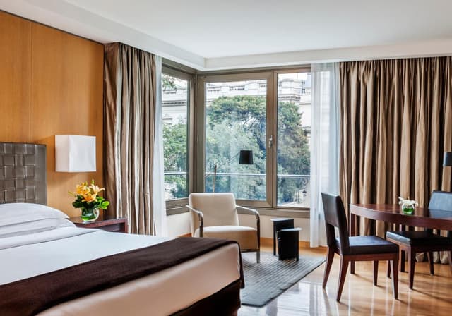 Deluxe King Room with Garden View · photo 2