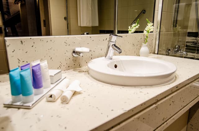Deluxe Double or Twin Room · photo 4