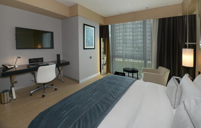 Deluxe Room King Bed with City view - Accessible Room · photo 3