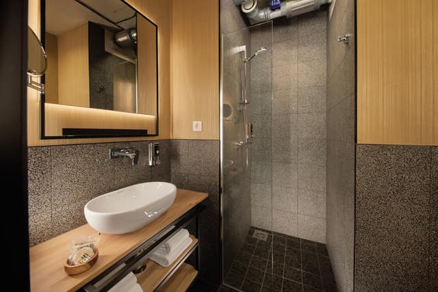 City Double Panorama Room · photo 5
