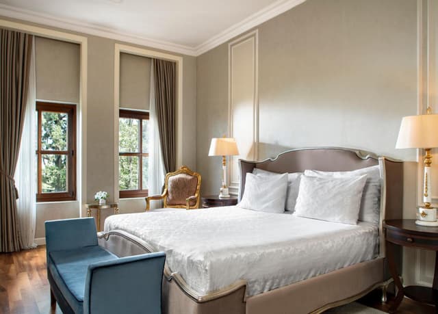 Deluxe room, pera view · foto 4