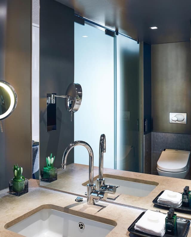 Superior King or Twin Room · photo 4