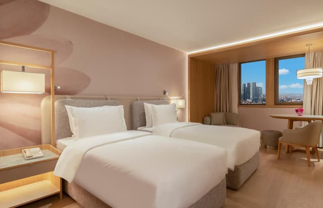 Superior Room City View Twin Bed · foto 2