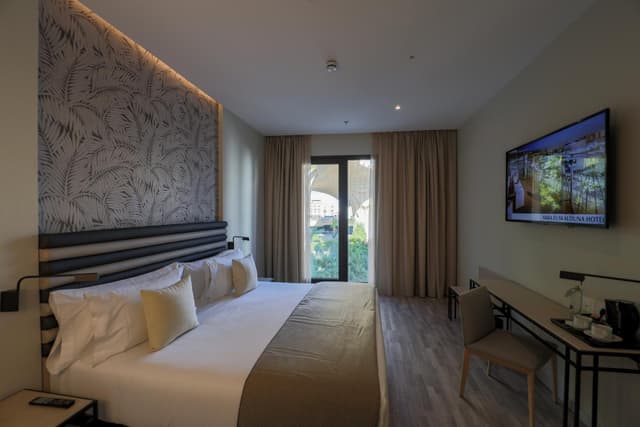 Deluxe Double or Twin Room · photo 4