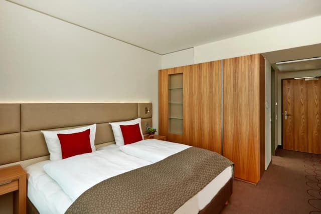 Superior Double or Twin Room · foto 1