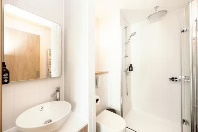 bathroom with a shower, toilet, sink and mirror