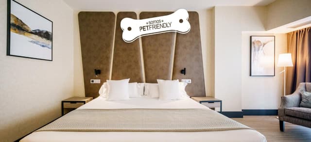 Standard Double Room Pet Friendly · photo 4