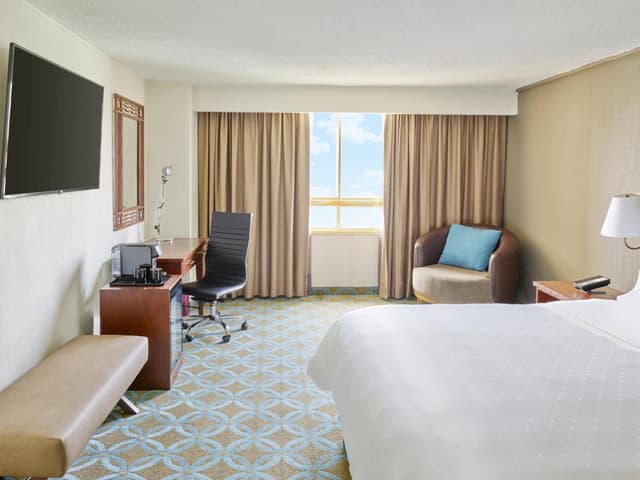 Deluxe King Room · photo 2
