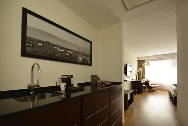 King Room - Non-Smoking · photo 5