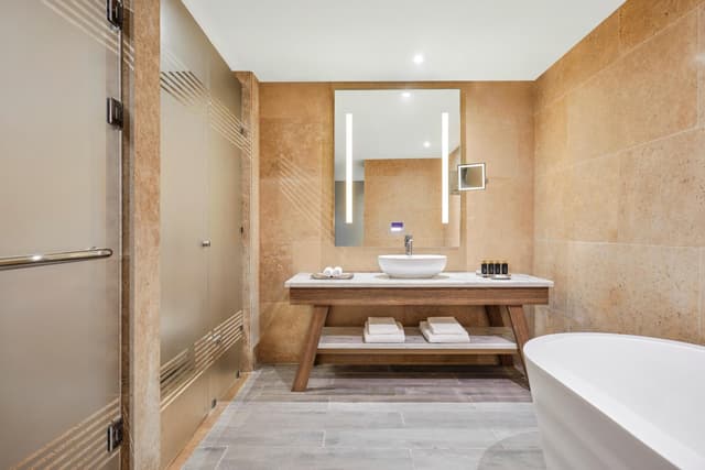 Twin Room with Terrace · photo 2