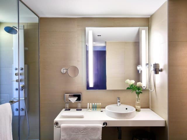 Habitación Deluxe · foto 4