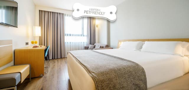 Double Room Pet Friendly · photo 1
