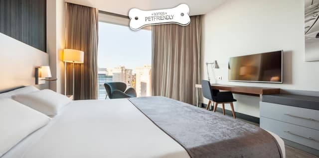 Standard Double Room Pet Friendly · photo 3