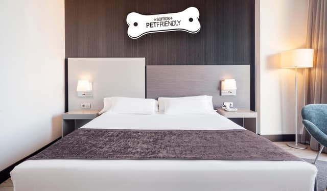 Standard Double Room Pet Friendly · photo 4