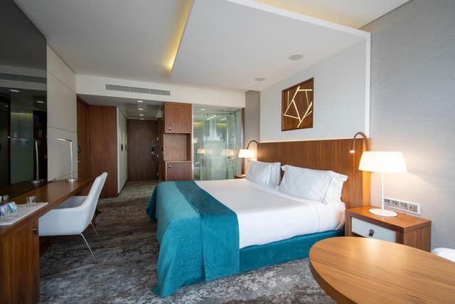 Deluxe Double Room · photo 1