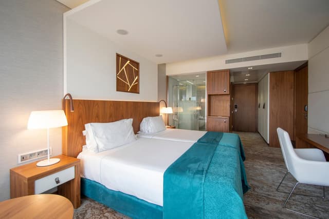 Deluxe Twin Room · photo 3