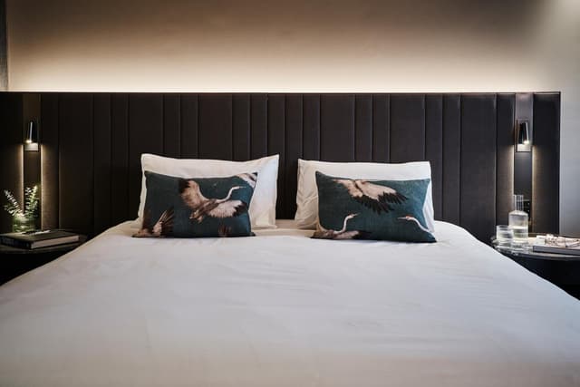 Superior King Room · foto 7
