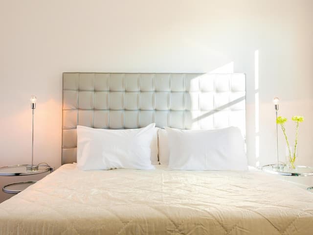 Pallas Guestroom · photo 4