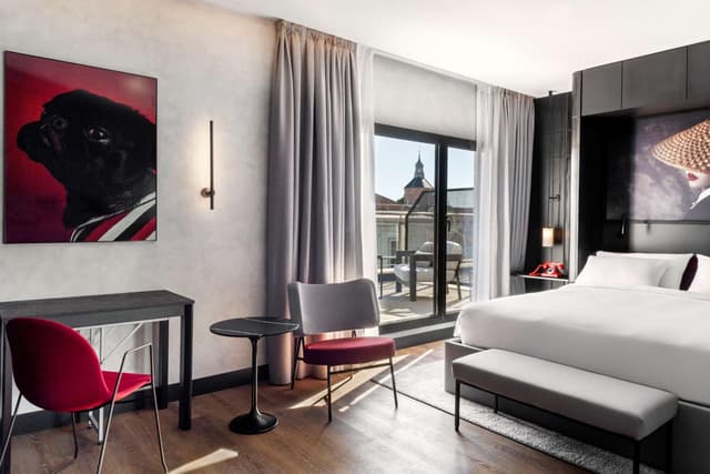 Superior Room with Terrace · photo 1