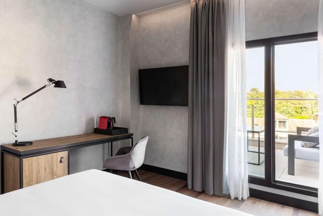 Superior Room with Terrace · photo 6