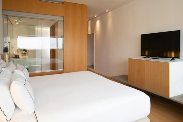 Deluxe Double or Twin Room · photo 4