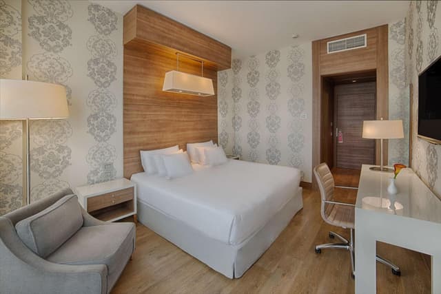 Premium Double or Twin Room · photo 6