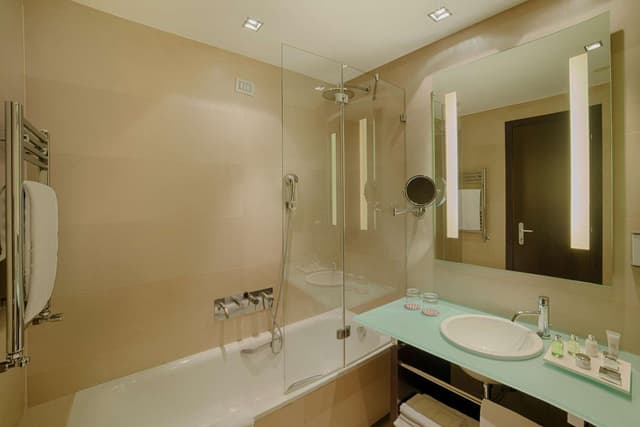 Premium Double or Twin Room · photo 7