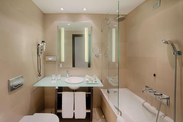 Premium Double or Twin Room · photo 8