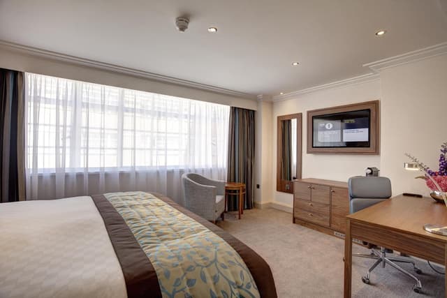 Deluxe King Room · photo 4