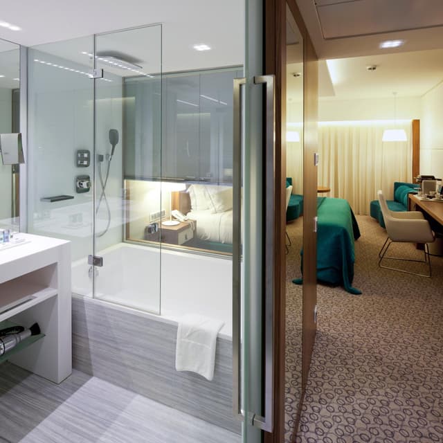 Deluxe Double Room · photo 5