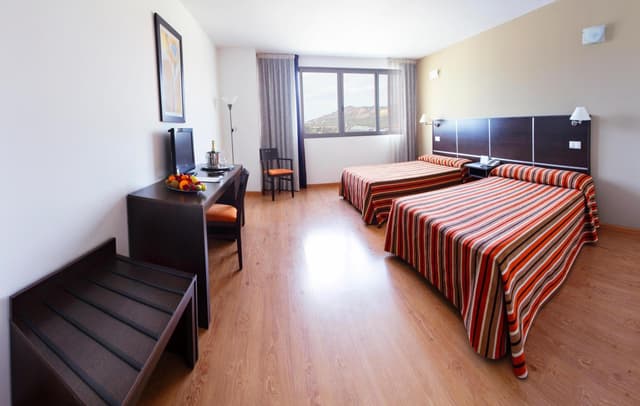 Double or Twin Room (2 Adults + 2 Children) · photo 5