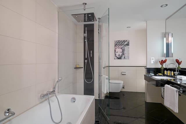 Suite Ejecutiva con acceso al salón, 1 cama King · foto 6