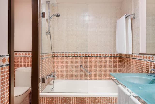Deluxe Twin Room · photo 4