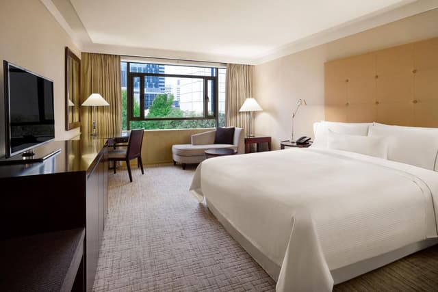 Deluxe King Room · photo 4