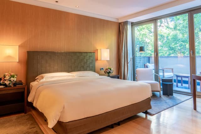 Deluxe King Room with Balcony · photo 6