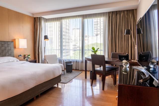 Deluxe King Room · photo 7
