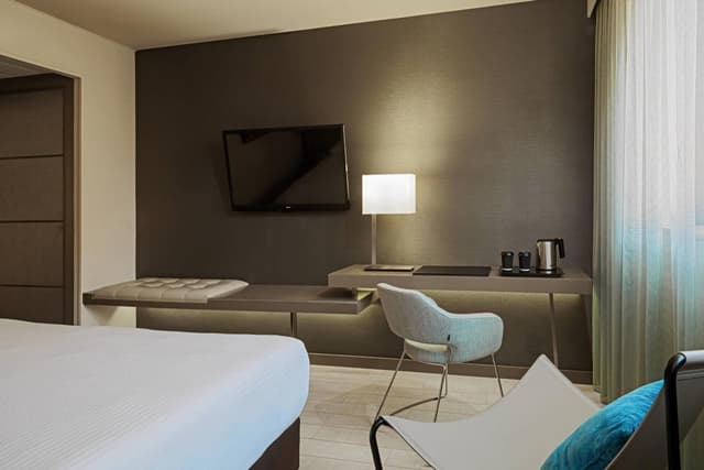 Classic King Room with City View · photo 2